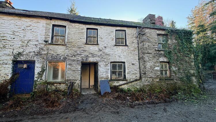 Bythynnod y gwehyddwyr