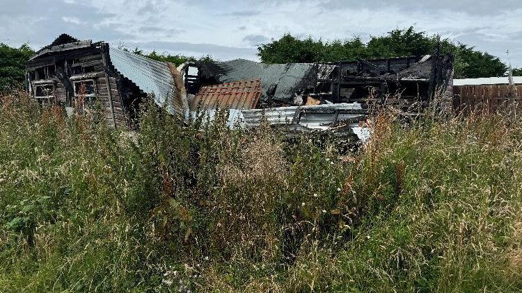 A tumble-down house in an overgrown setting.