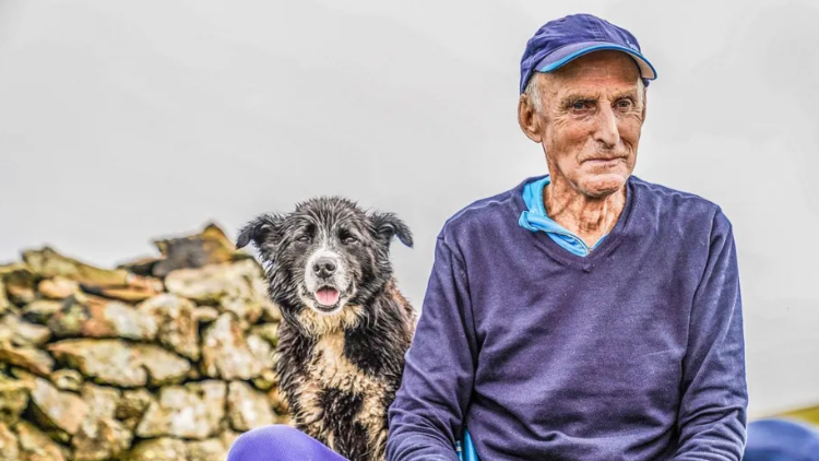 A man with white hair and a blue cap sitting next to a wet sheepdog and pile of stones. He is looking to the side wearing a blue jumper. The dog is looking into the camera.