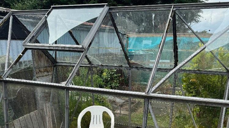 A greenhouse with lots of broken glass.