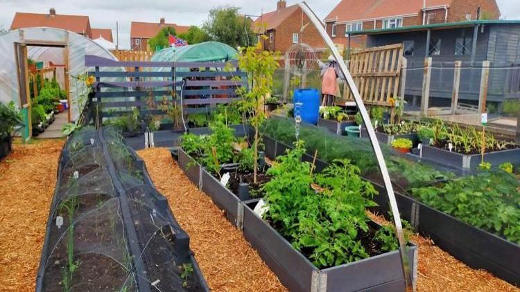 A garden with lots of raised beds and vegetables