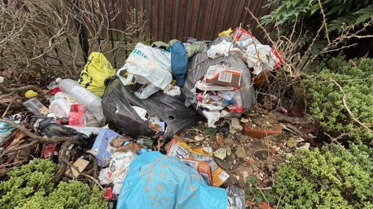 Several plastic bags including a bin bag, a Poundland bag and a River Island bag dumped in shrubbery near a fence with various items including bottles spilling out of them