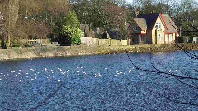 Walkway alongside a reservoir with a Victorian lodge with a red trimmed roof and white birds sat on the water