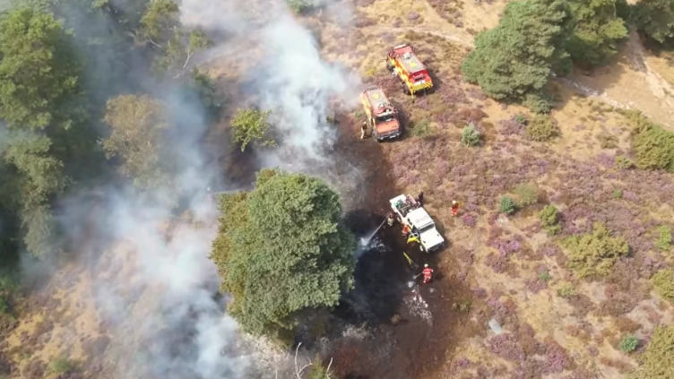 A drone image of a wildfire in Churt Common, Surrey, on 19 August. Fire engines can be seen, as well as a hose extinguishing the fire.