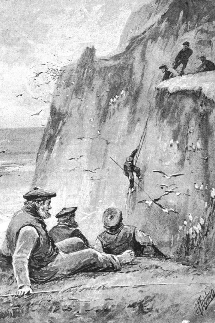 Illustration of St Kilda guga hunt