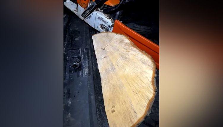 A large wedge of wood next to a chainsaw, which has a silver body and red blade cover