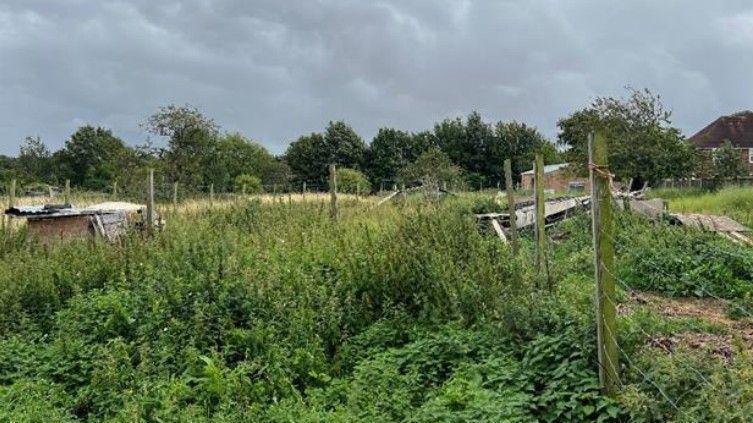 An apple orchard in Borden. There are green plants and wooden fences.