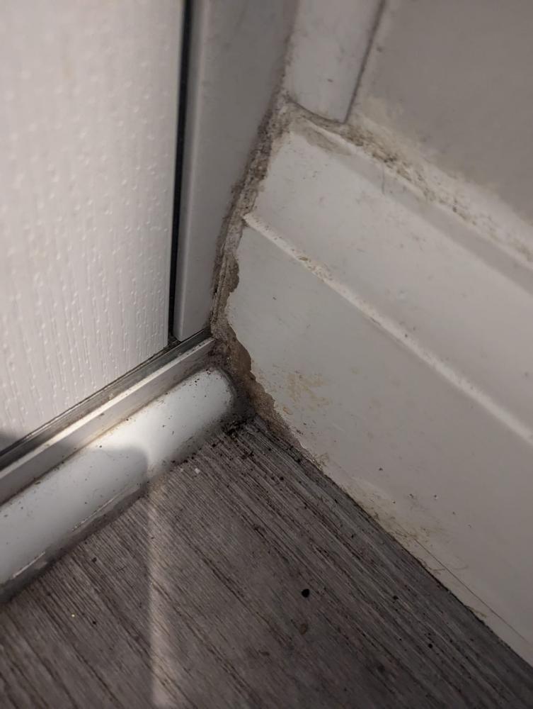 A close-up of the corner of the front door, which shows some mould appearing