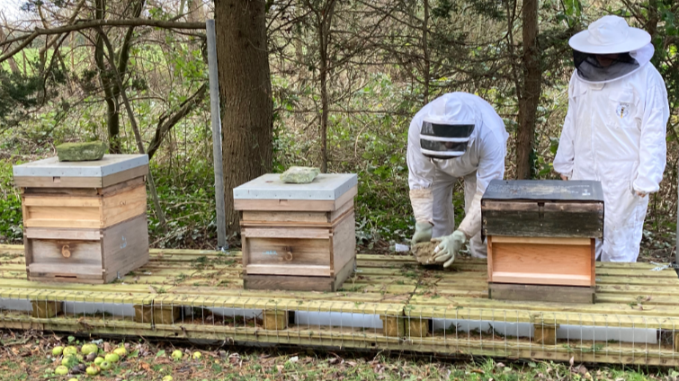 Mr and Ms Capozzoli seen working on three hives which are on the pontoons. They are wearing the bee suits, with their faces obscured. 