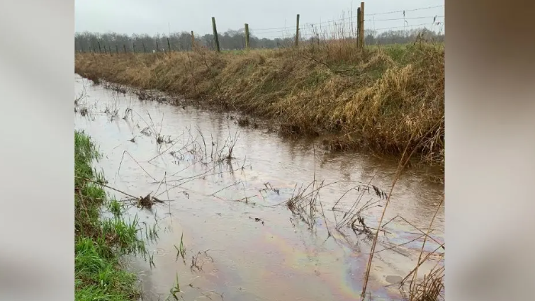 A stream of water, with a grassy bank on one side. A slick of oil is on the water, with yellows, purples and blue patterns on the surface. 