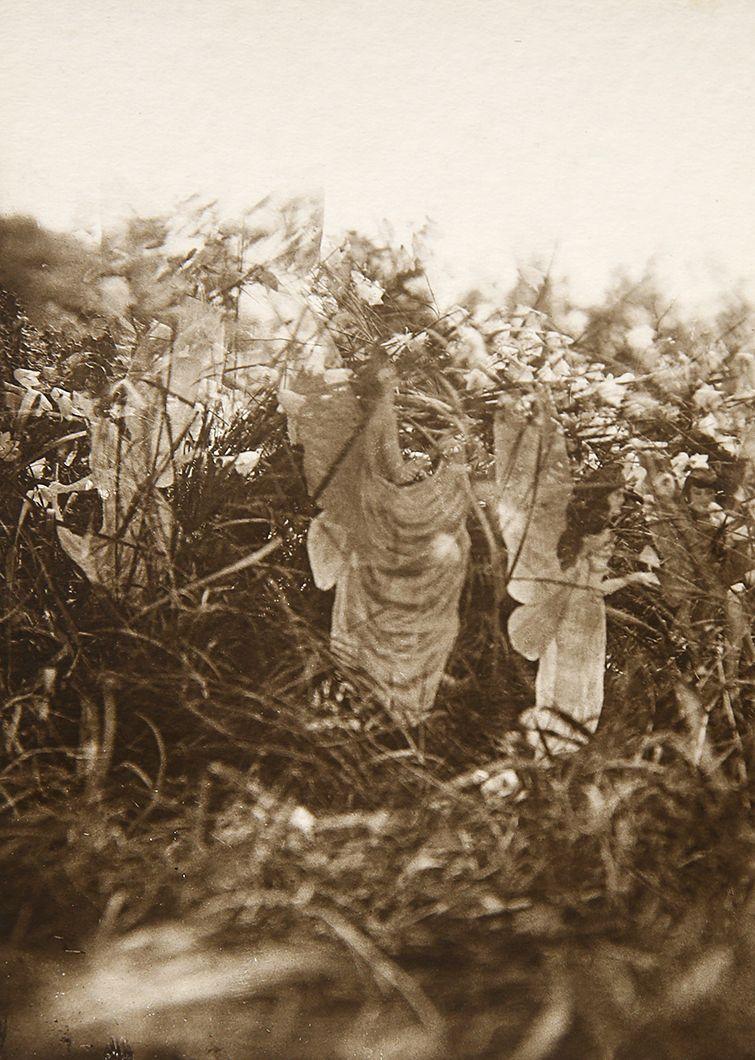A black and white photograph featuring a ghostly image of a fairy which appears to be dancing amongst long grass and flowers.