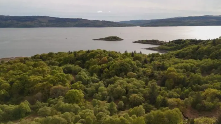 Coillte-uisge air costa fliuch a' Chuain a Tuath de dh'Alba 