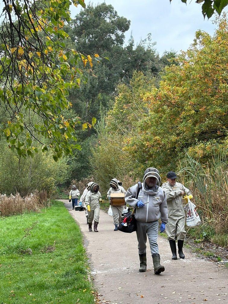 Several people wearing overalls and net helmets to protect them from bees walk along a concrete path among trees and next to green grass.