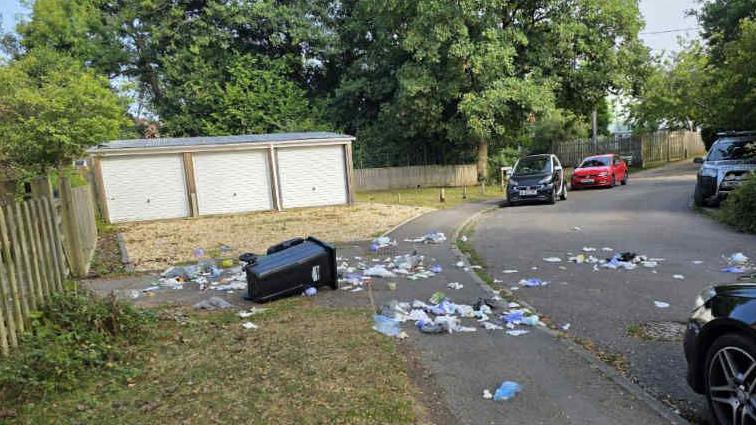 A tipped-over wheelie bin with rubbish strewn across a footpath and street.