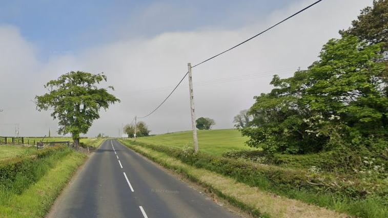 A country road with fields on either side. There is a tree on the left hand side of the road and an electricity pole on the right hand side. The sky is blue with a few clouds. 