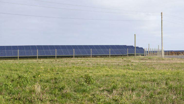 A grassy field with a wooden fence with solar panels on the far side.