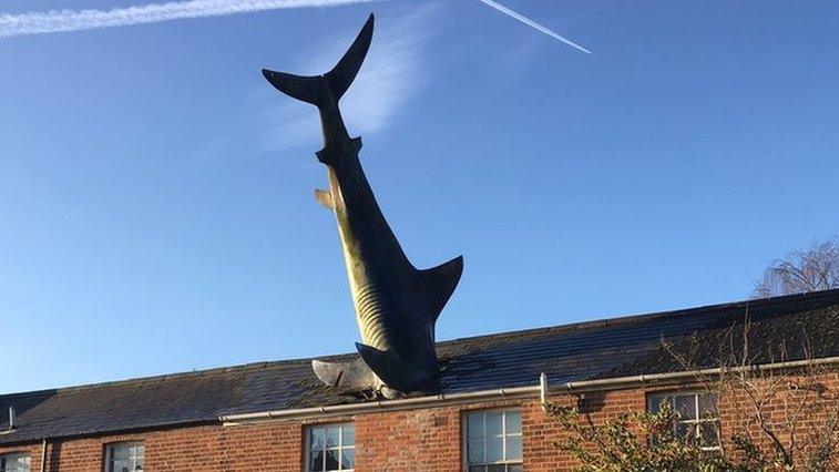 Headington Shark