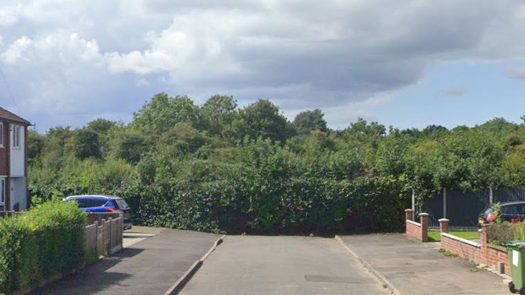 A road stopping at a wooded area