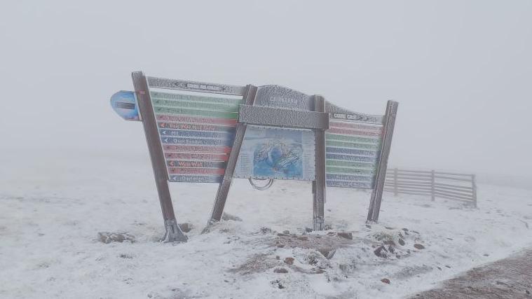 A snow covered sign 