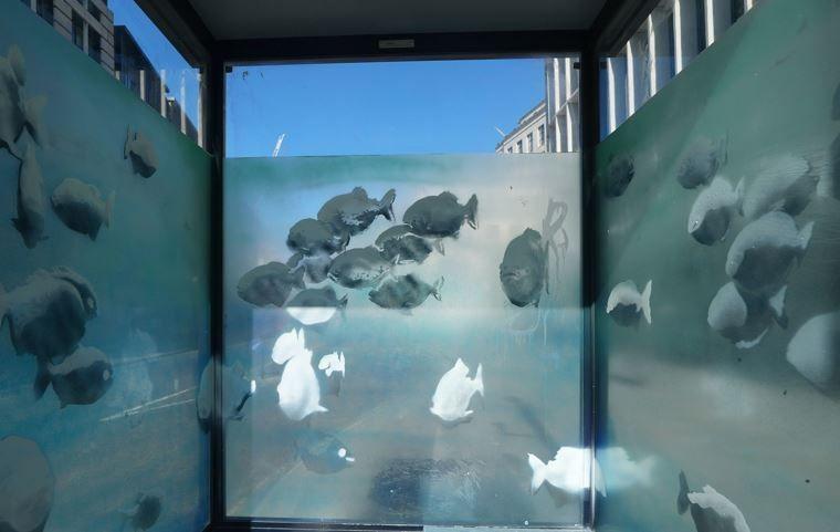 Inside view of police sentry box showing spray painted images of a shoal of fish