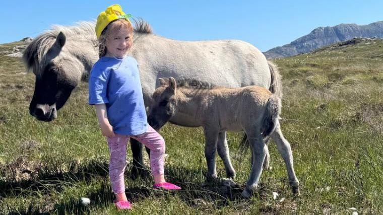 Four-year-old Cara wears a blue top and pink leggings with pink shoes and a yellow hat. She stands in a grassy field next to a white Shetland pony and its brown foal. It is a sunny day with clear blue skies.