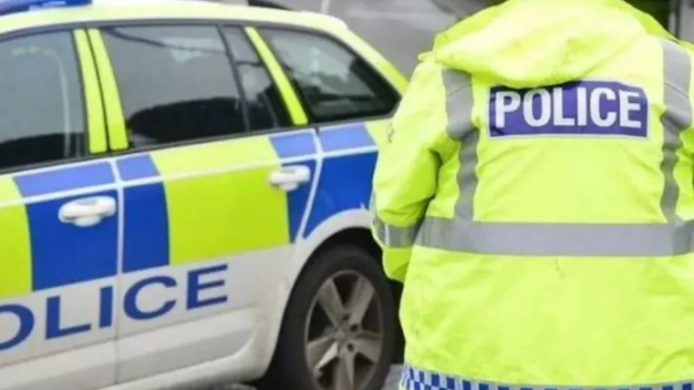 Police officer and police car 