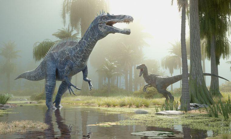 Dinosaurs in nature - suchomimus, velociraptor