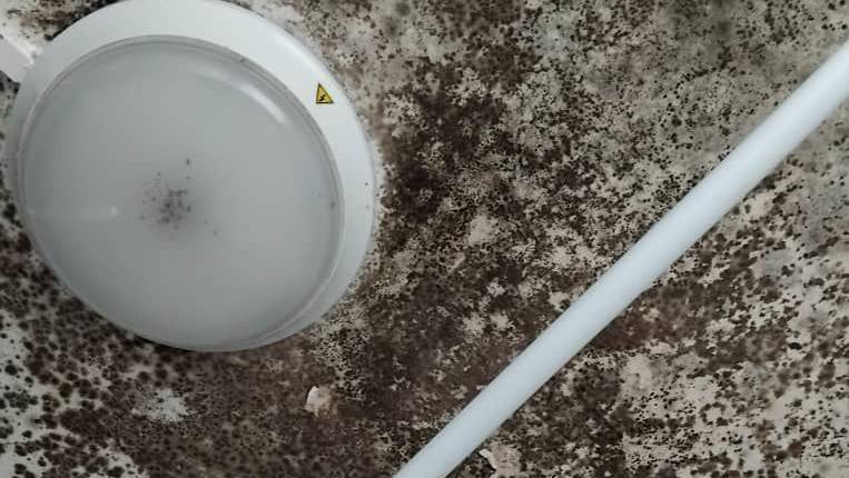 Black mould on a bathroom ceiling