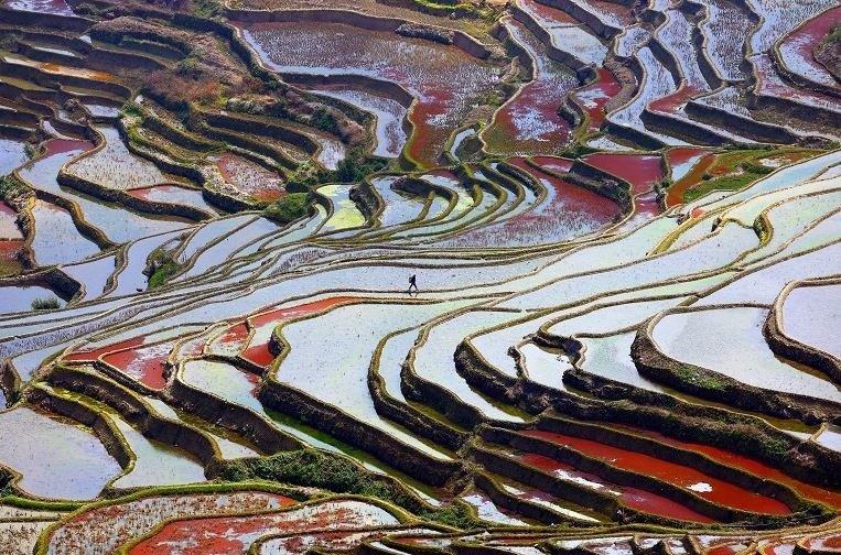 terraces in southern China