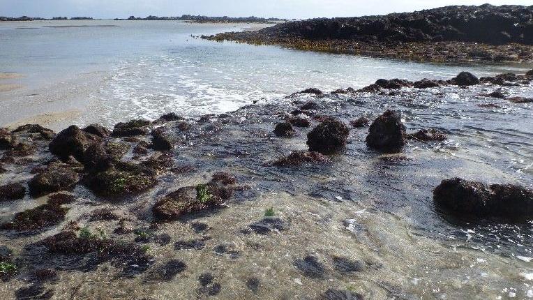 The picture shows a coastal landscape with shallow, clear water and rocky formations. In the foreground, you can see rocks covered in seaweed and algae, partially submerged. Further back, more rocks stretch along the shoreline.