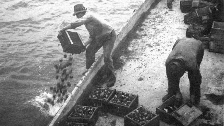 Men unload munitions into a lake in Switzerland.