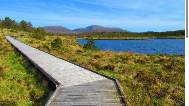 Slighe fiodha ann an Coille Coimhearsnachd Ath Linne