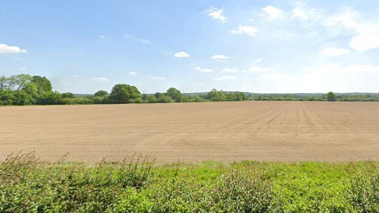 A field lined with trees on a sunny day