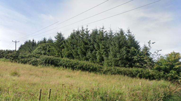 The electricity line near Whitchester House, near Longformacus