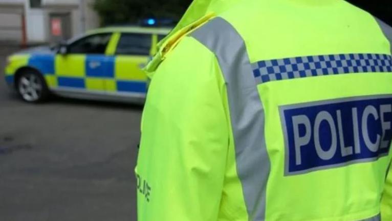 View of the back of a police officer wearing a high visibility jacket in front of a police car which is shown slightly out-of-focus 