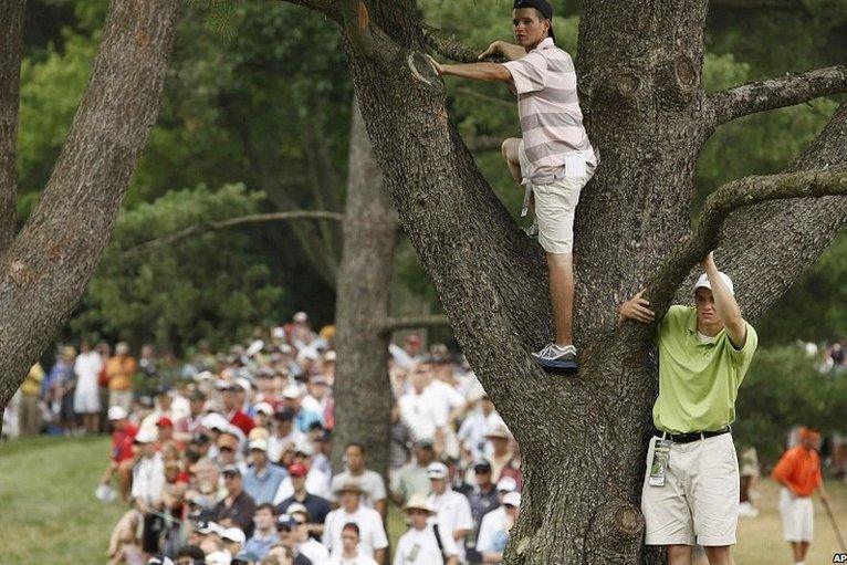 As the tension builds at Congressional fans climbs the trees