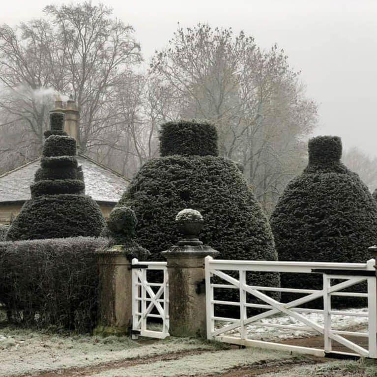 A frosty gated entrance to the avenue site