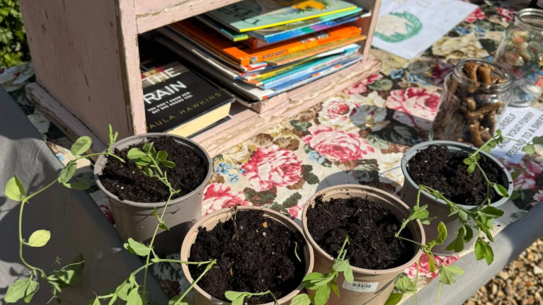 Plants and books on a stall