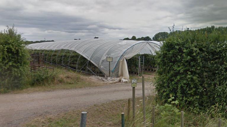 Grey gravel road onto green farmland which is covered by white polytunnels to cover and protect some form of planting.