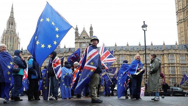 Anti-Brexit protesters