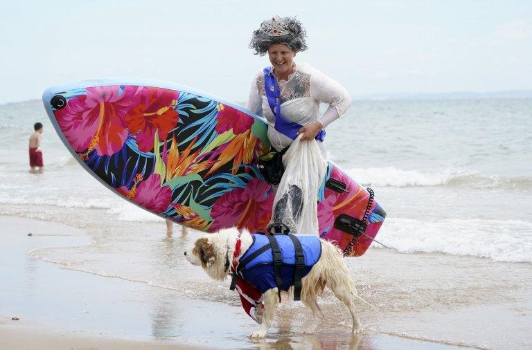 surfing dog