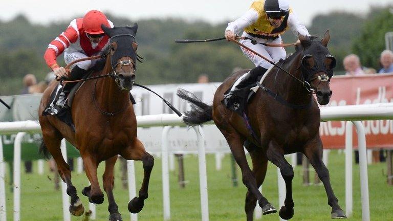 Sheikhzayedroad (right) edged past Quest For More to win at Doncaster