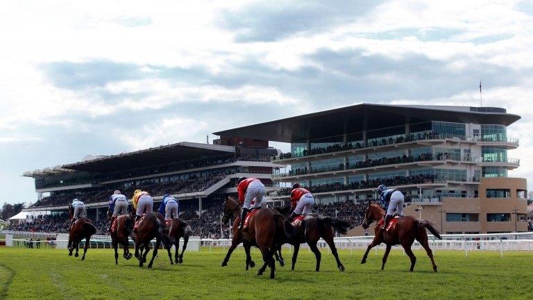 Cheltenham Festival