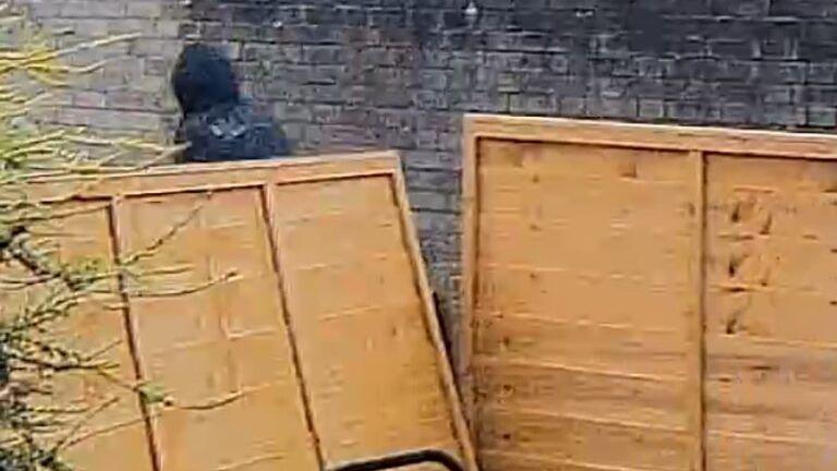 A view over the fence into a street or alleyway. A man on a bike is riding, there is a wall on the far side. The rider is wearing all black with a black balaclava. One of the fence panels is falling over.