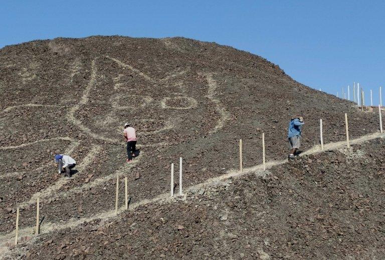 nasca cat