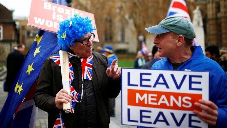 Pro- and anti-Brexit supporters