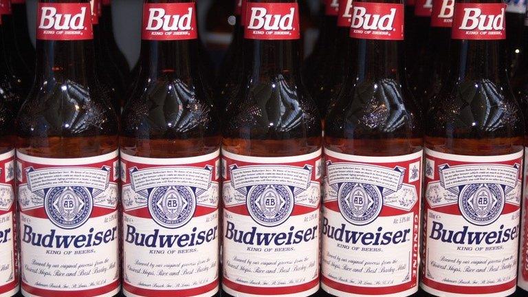 Bottles of Budweiser