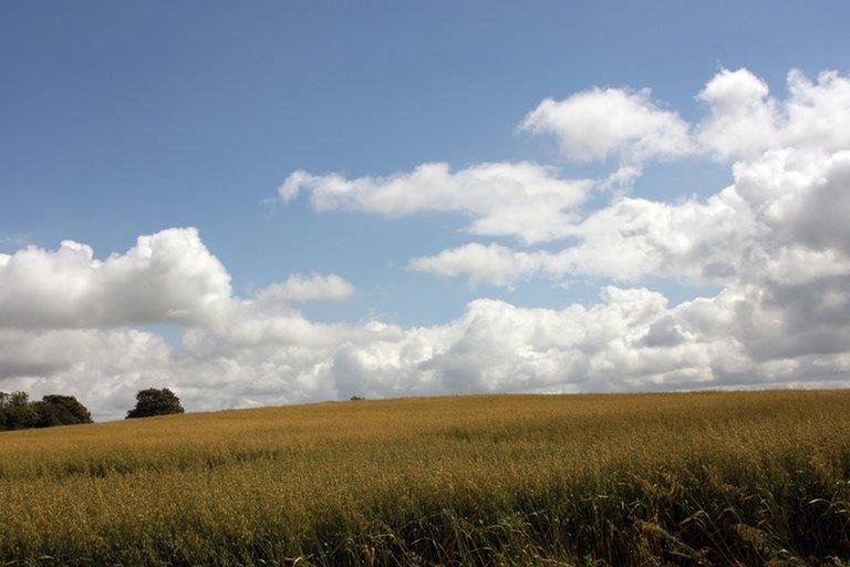 Mendip Hills