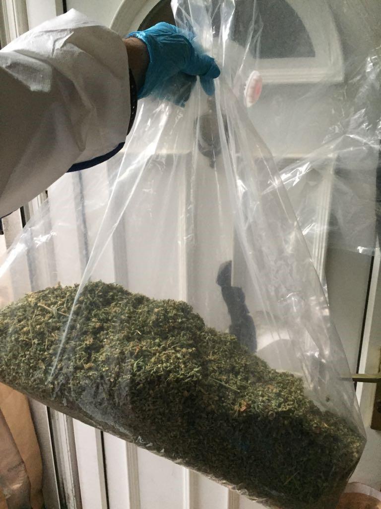 An arm wearing white overalls holds up a large bag containing cannabis in front of a white front door