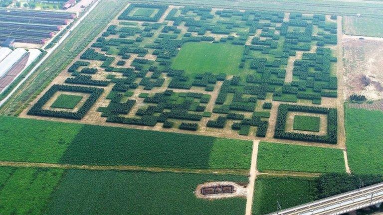 Giant QR Code in a field, Xilinshui Village of Baoding, Hebei Province, China